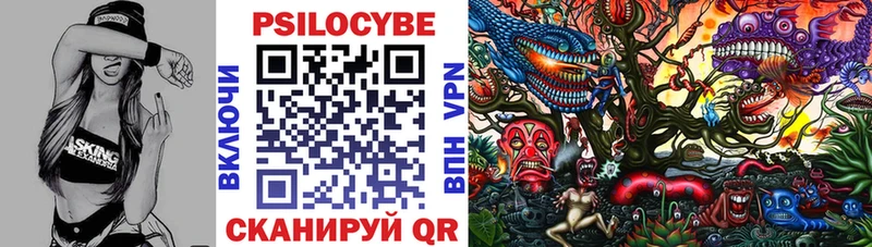 Купить где  Смоленск  Галлюциногенные грибы Psilocybe 